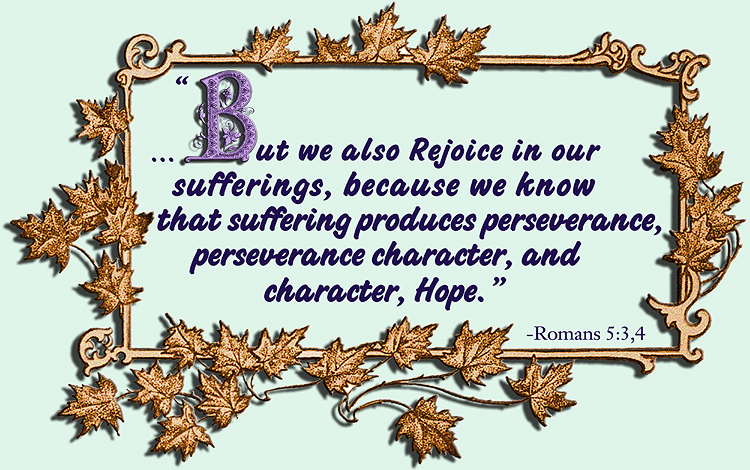 Bible Quote..But we also rejoice in our sufferings, because we know that suffering produces perseverance, perseverance character, and character, Hope.