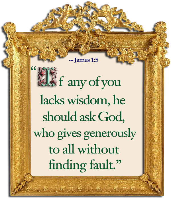 Bible Quote..if any of you lacks wisdom, he should ask God, who gives generously to all without finding fault.