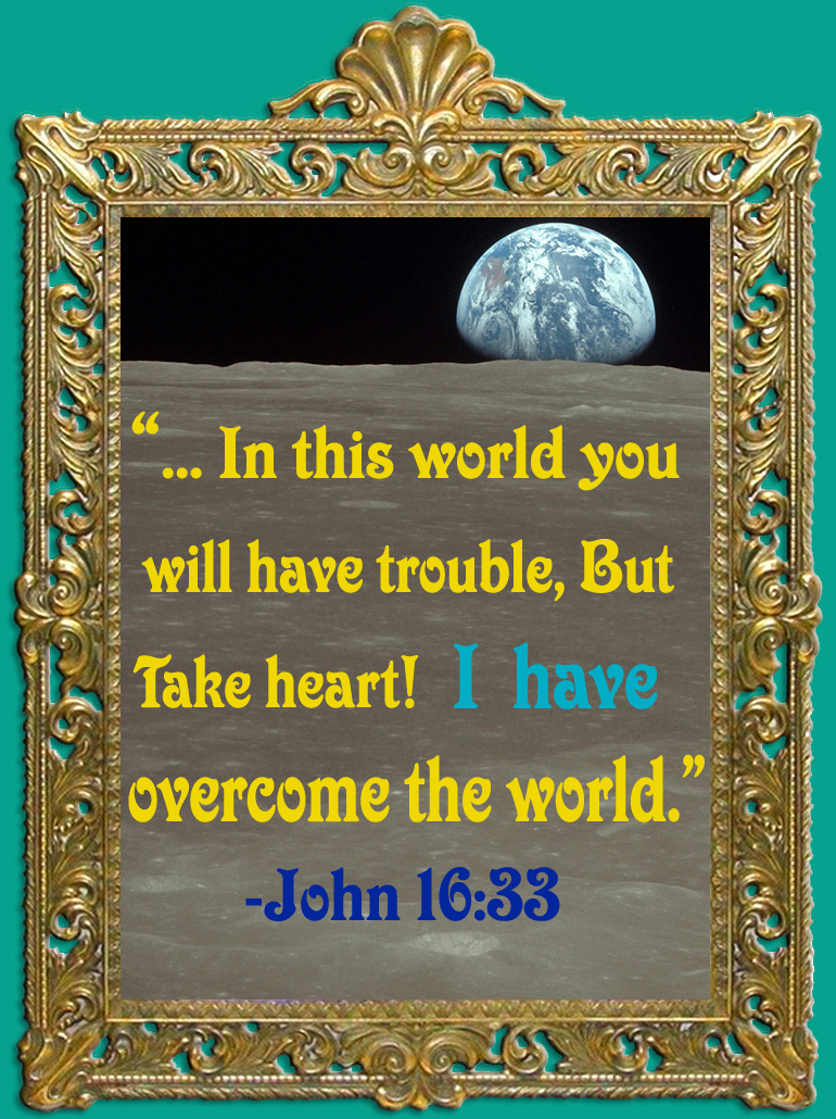 Bible Quote..In this world you will have trouble, But take heart! I have overcome the world.