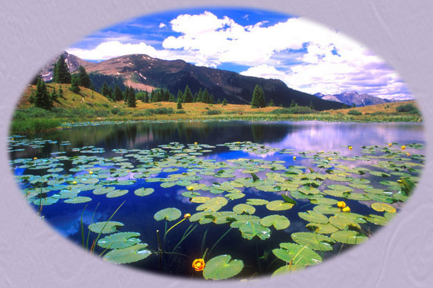 Millennium Art Pic